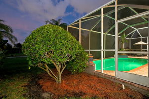 Backyard65