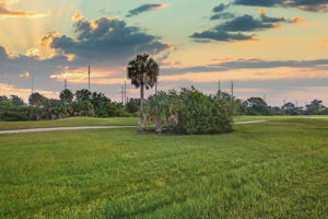 Backyard71