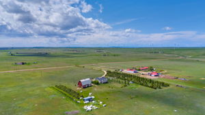 Aerial