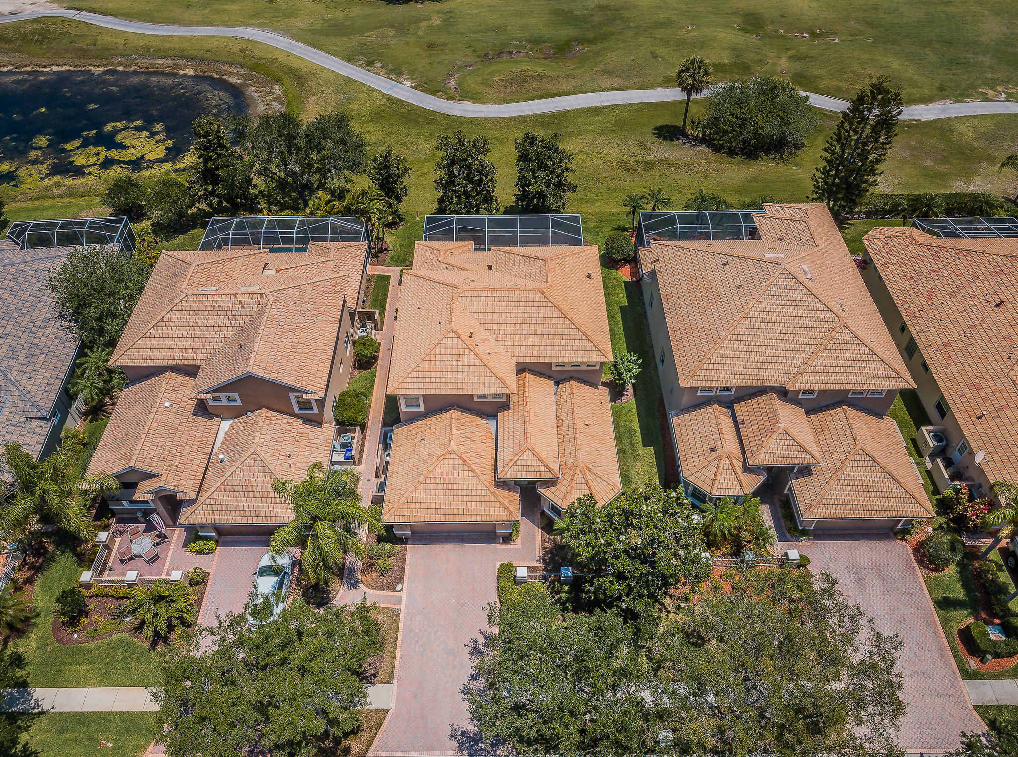 Aerial (15)