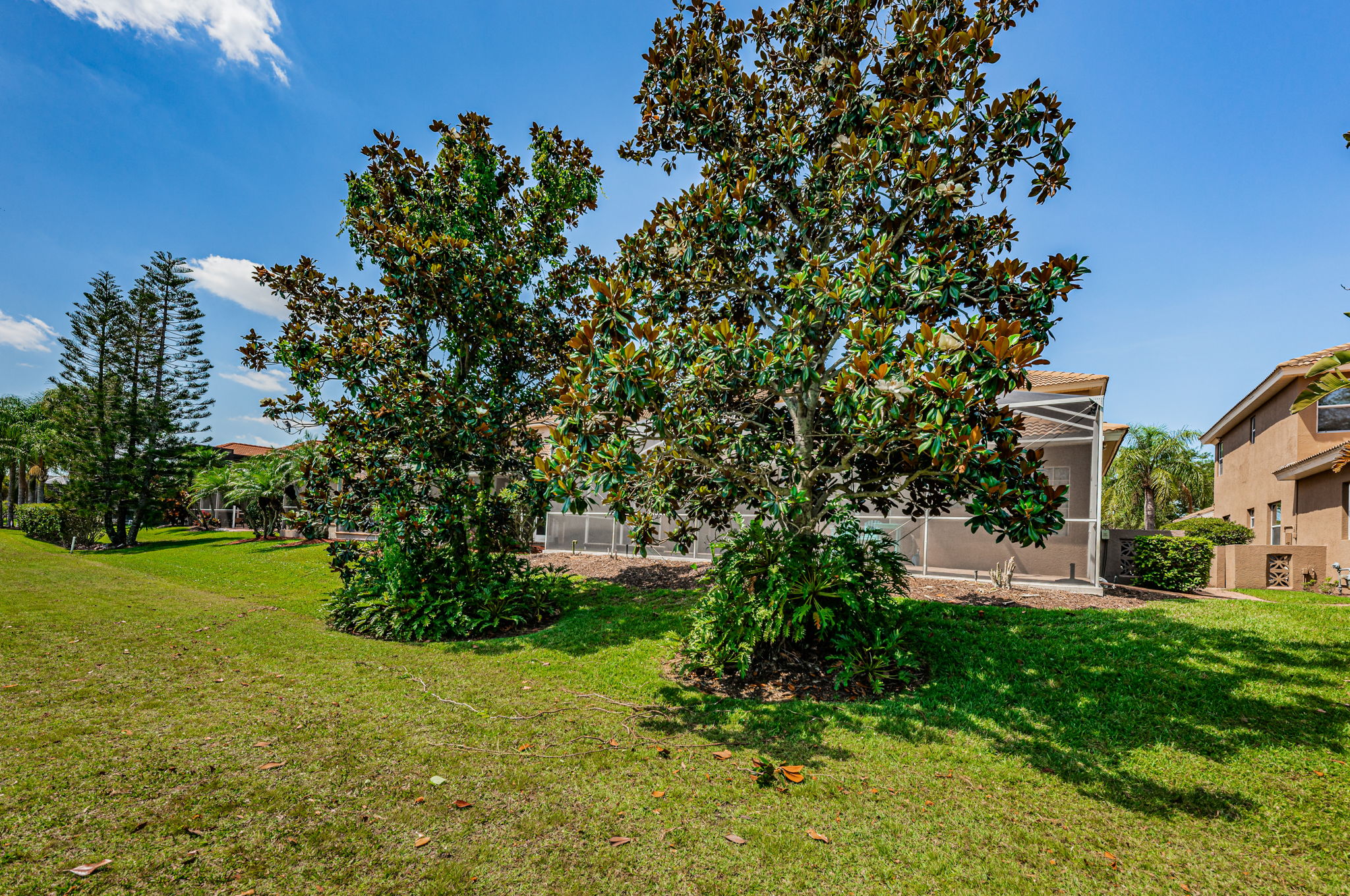 Rear Exterior2