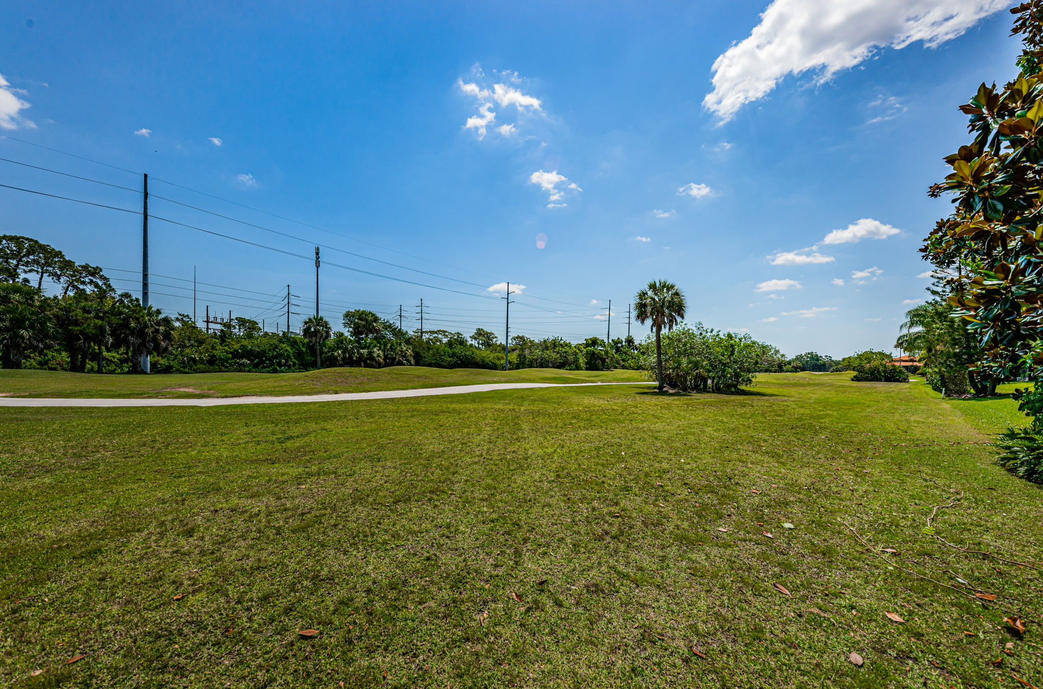 Golf Course1