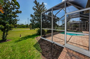 Backyard1-2