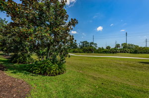 Backyard3-2