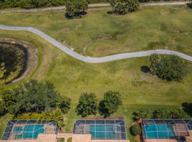 Aerial (14)