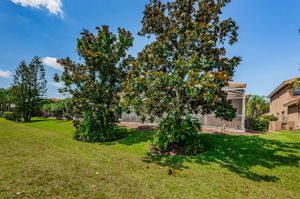 Rear Exterior2