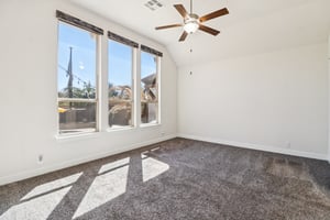 Carriage Loop-S1203-029.jpg