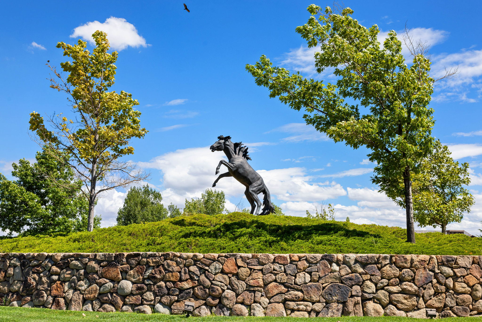 AmericanRanch