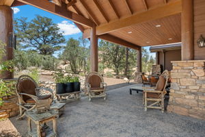 Back Patio (1)