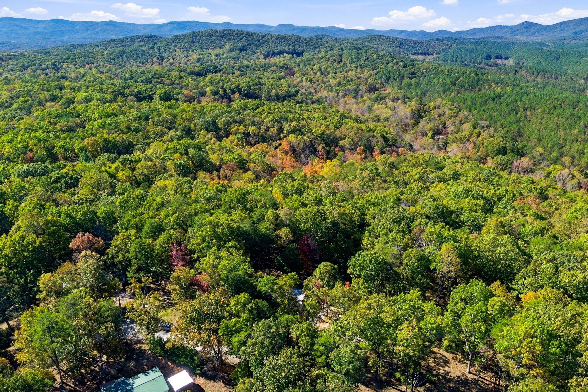  Photo 50
