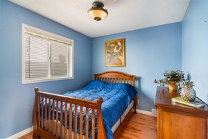  Photo 41