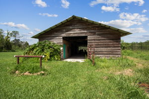 Barn