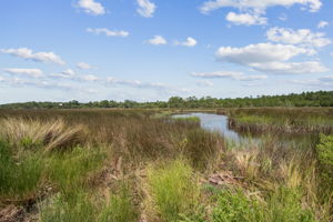 Marsh View