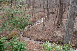 Image-111