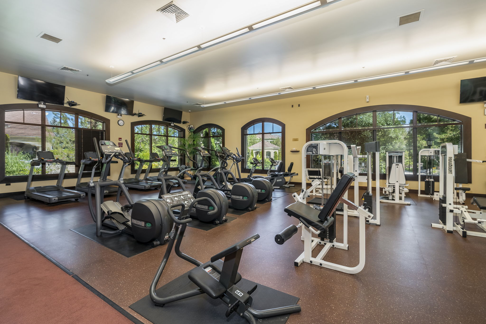  Photo 36