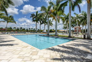  Photo 113