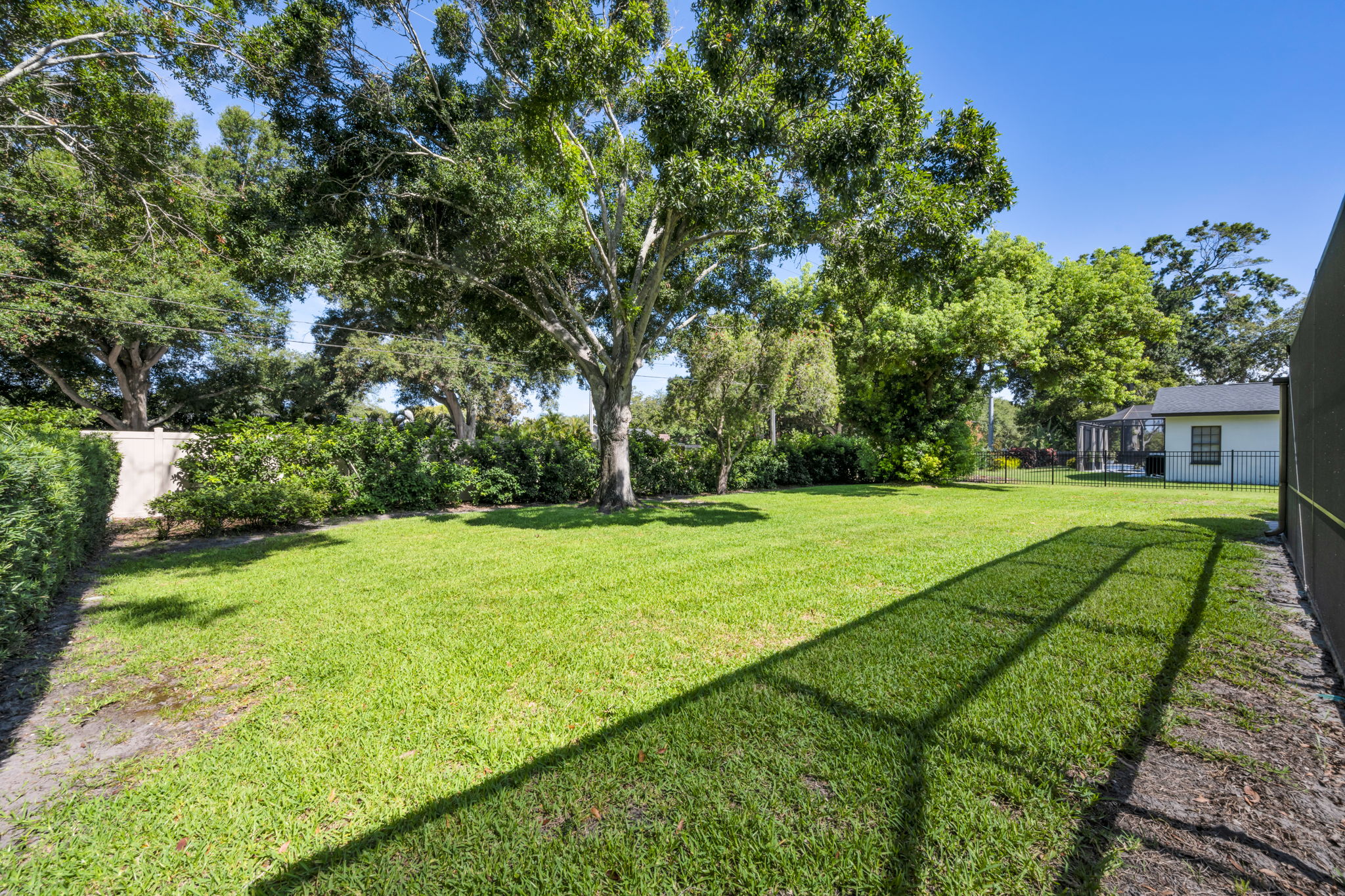 Backyard 4