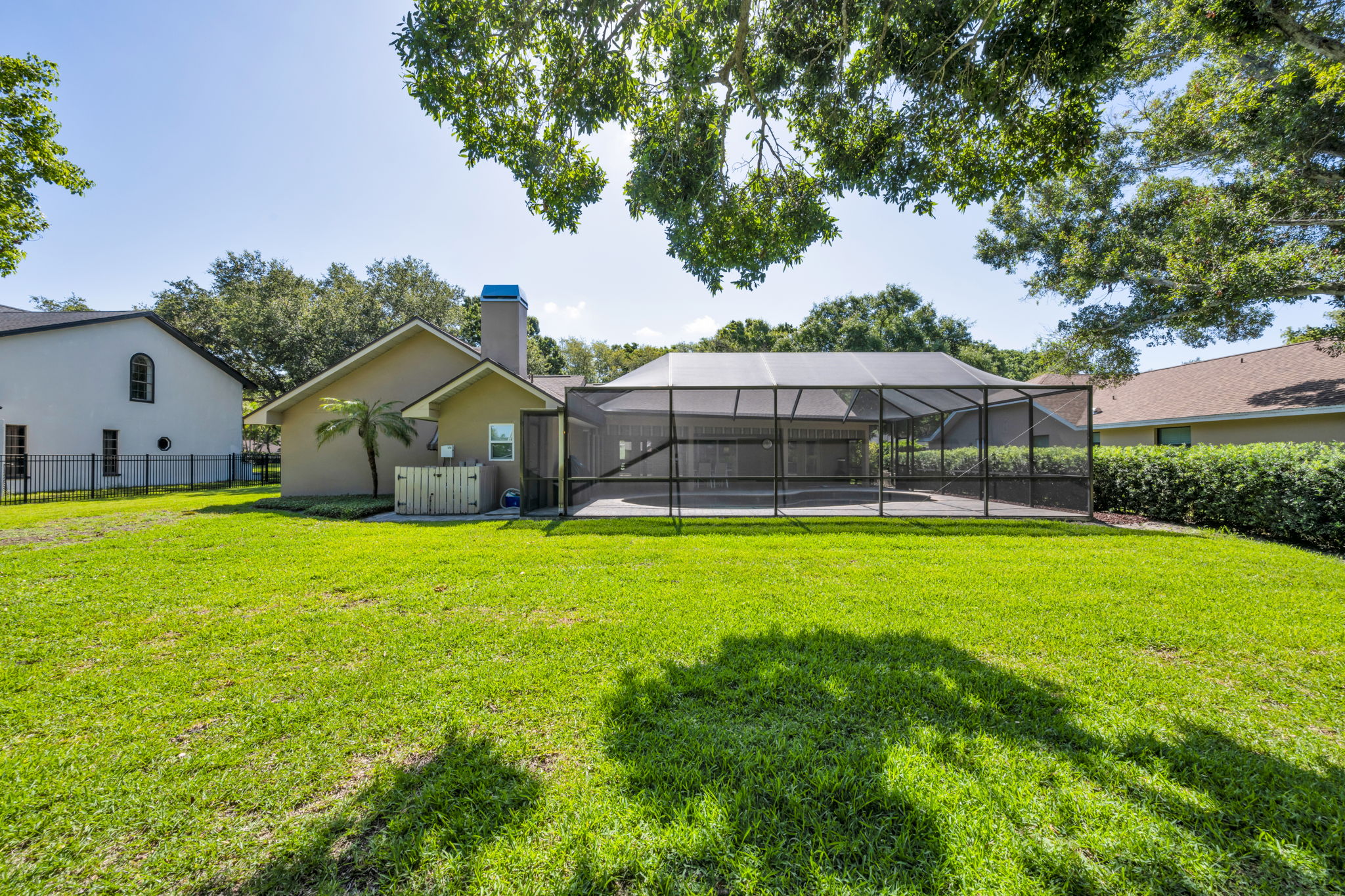 Backyard 3