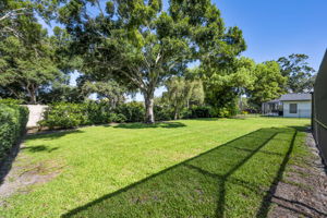 Backyard 4