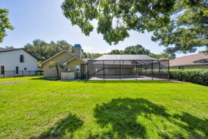 Backyard 3