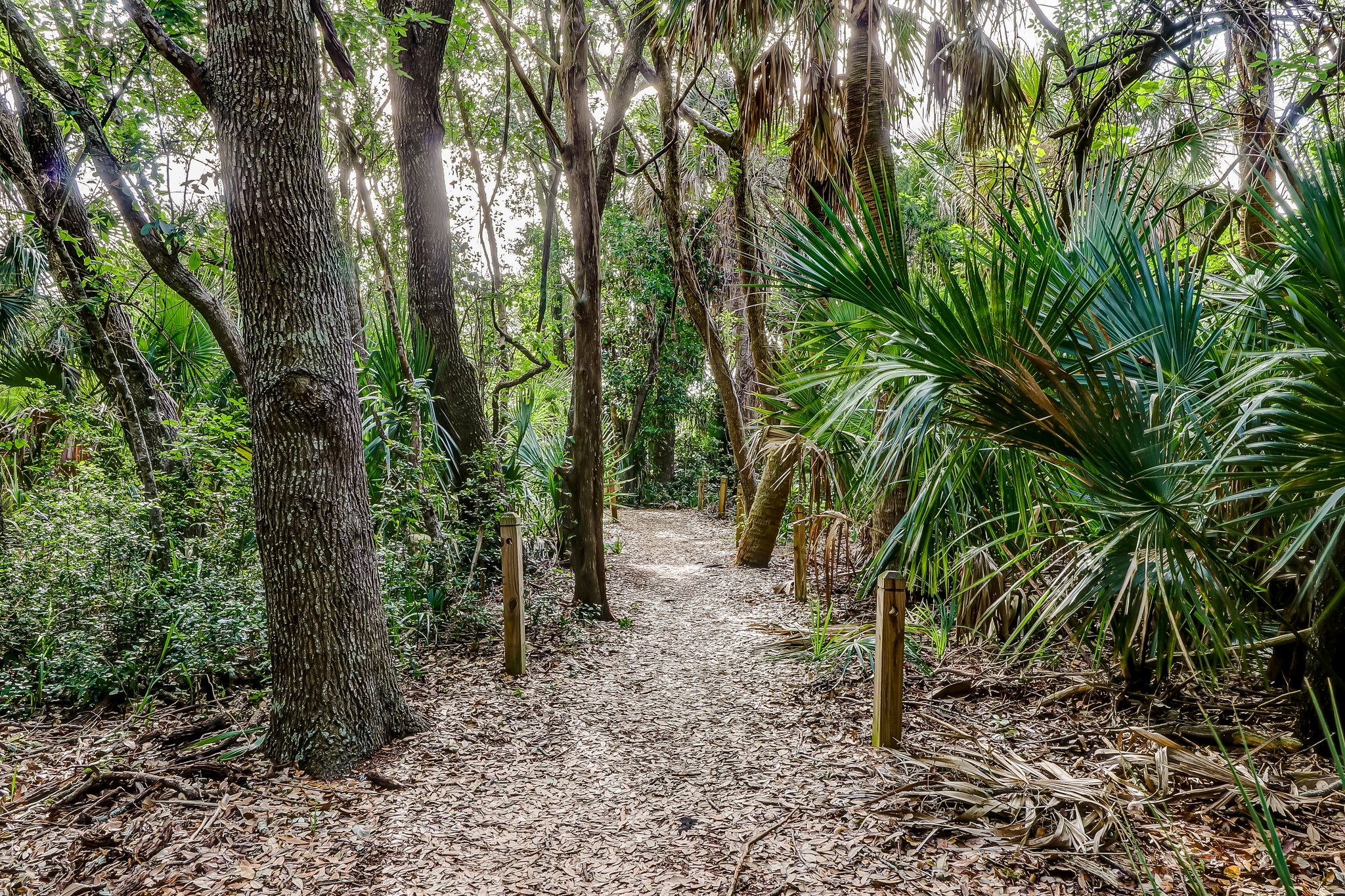 Egans Creek Greenway