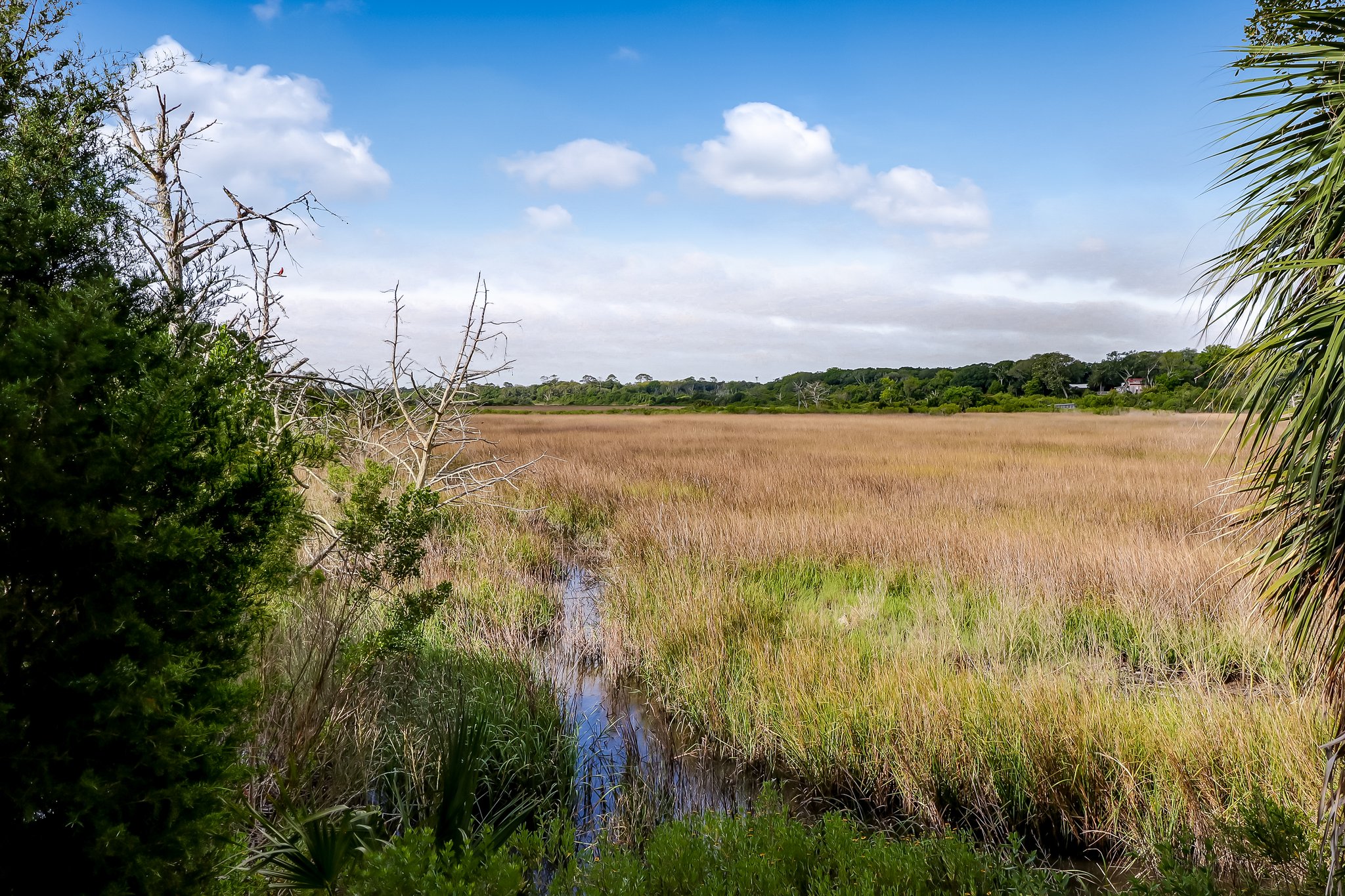 Egans Creek Greenway