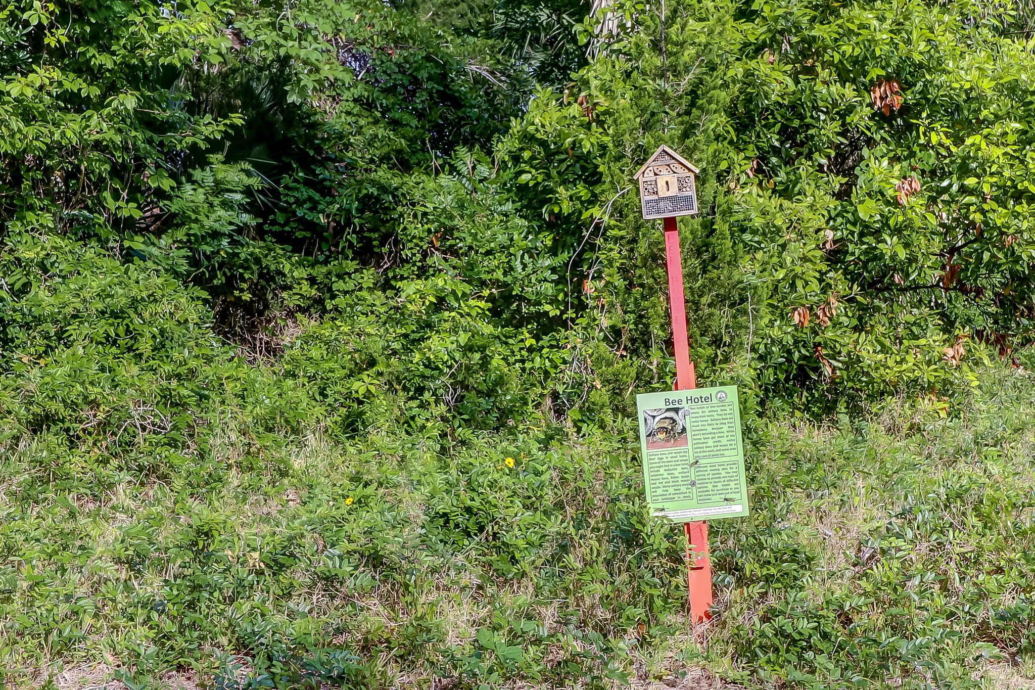 Egans Creek Greenway