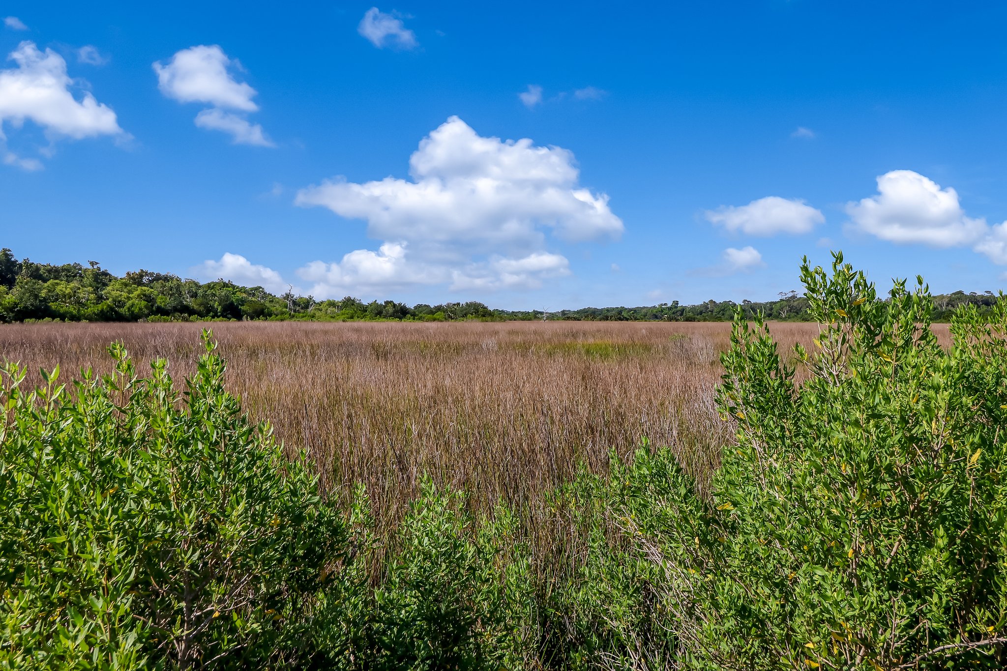 Egans Creek Greenway