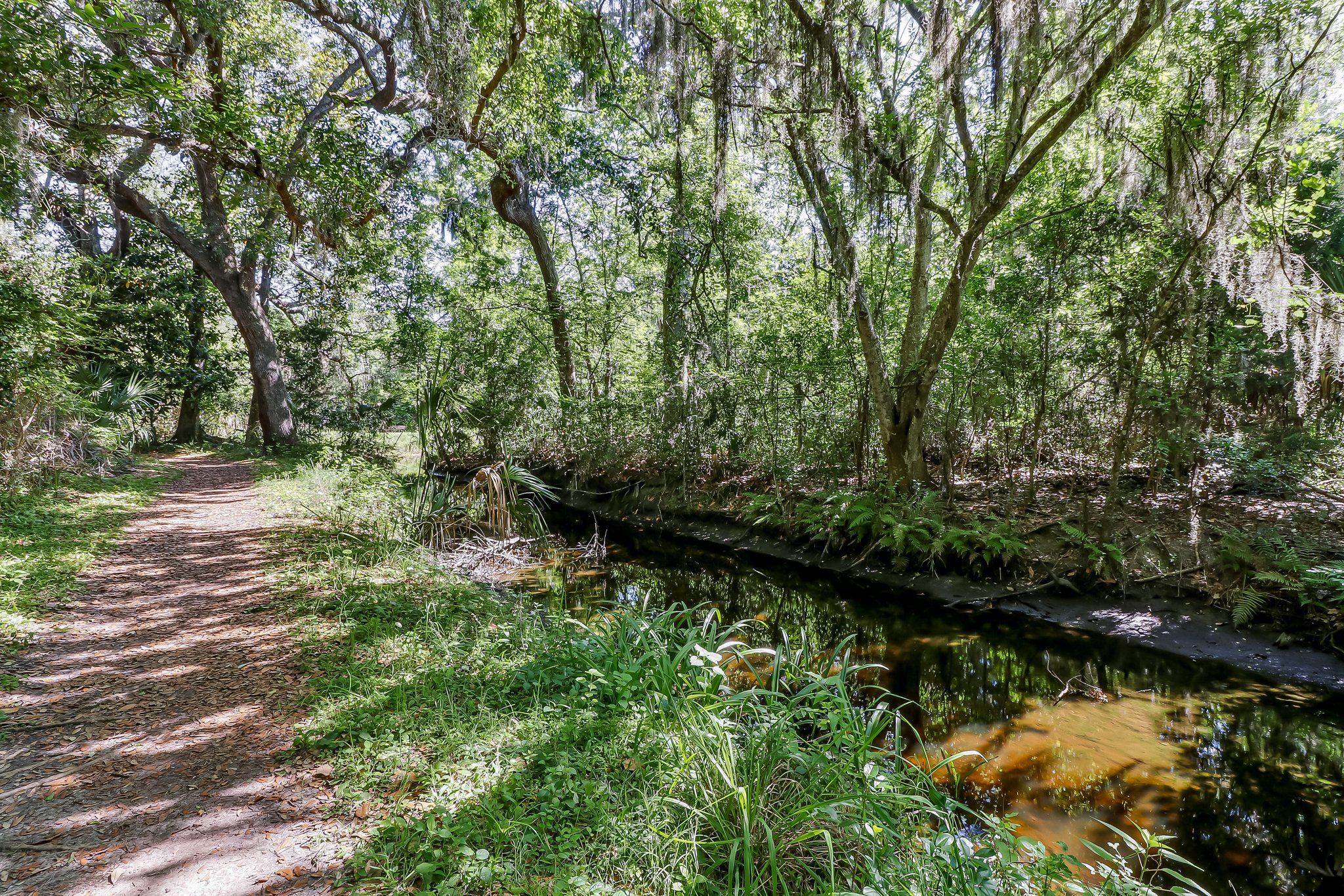 Egans Creek Greenway