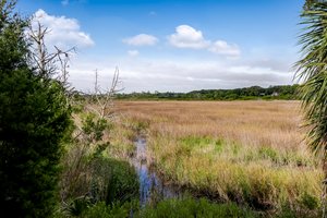 Egans Creek Greenway