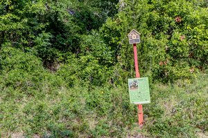 Egans Creek Greenway