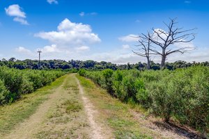 Egans Creek Greenway