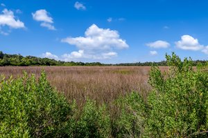 Egans Creek Greenway