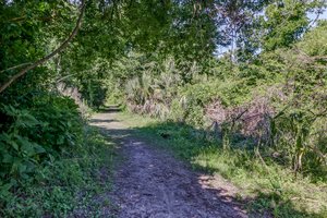 Egans Creek Greenway
