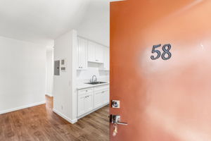 APT 58-003