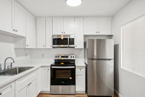 APT 58-008