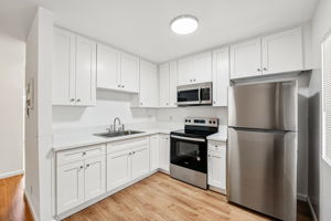 APT 58-009