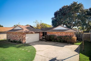 Willmont Rd-040
