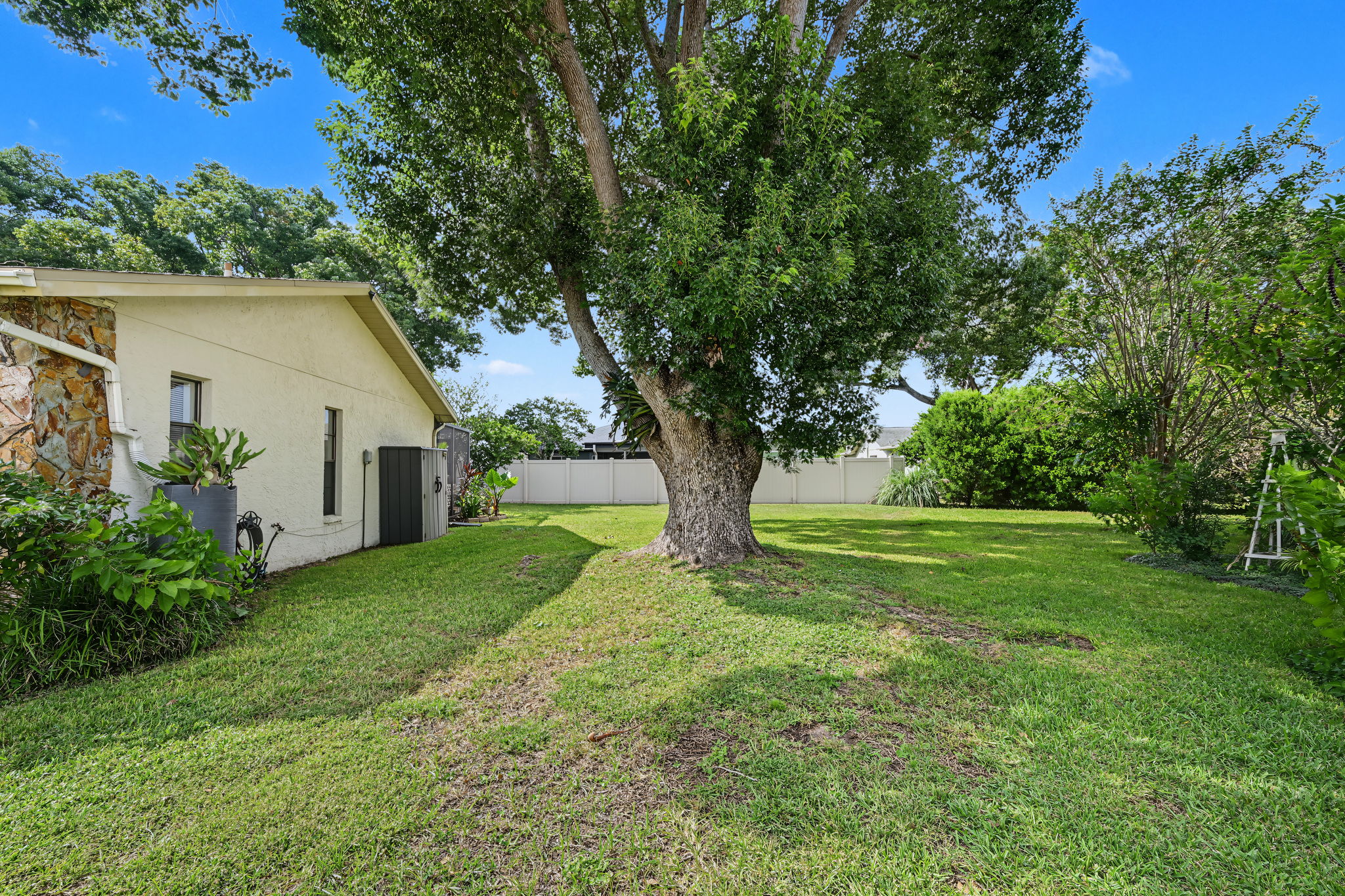 Sideyard1a