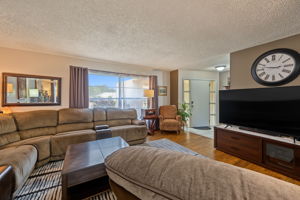 Living Room1