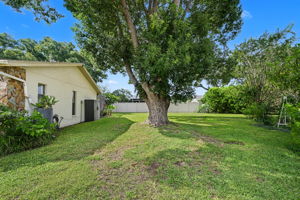 Sideyard1a