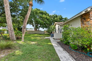 Sideyard2a