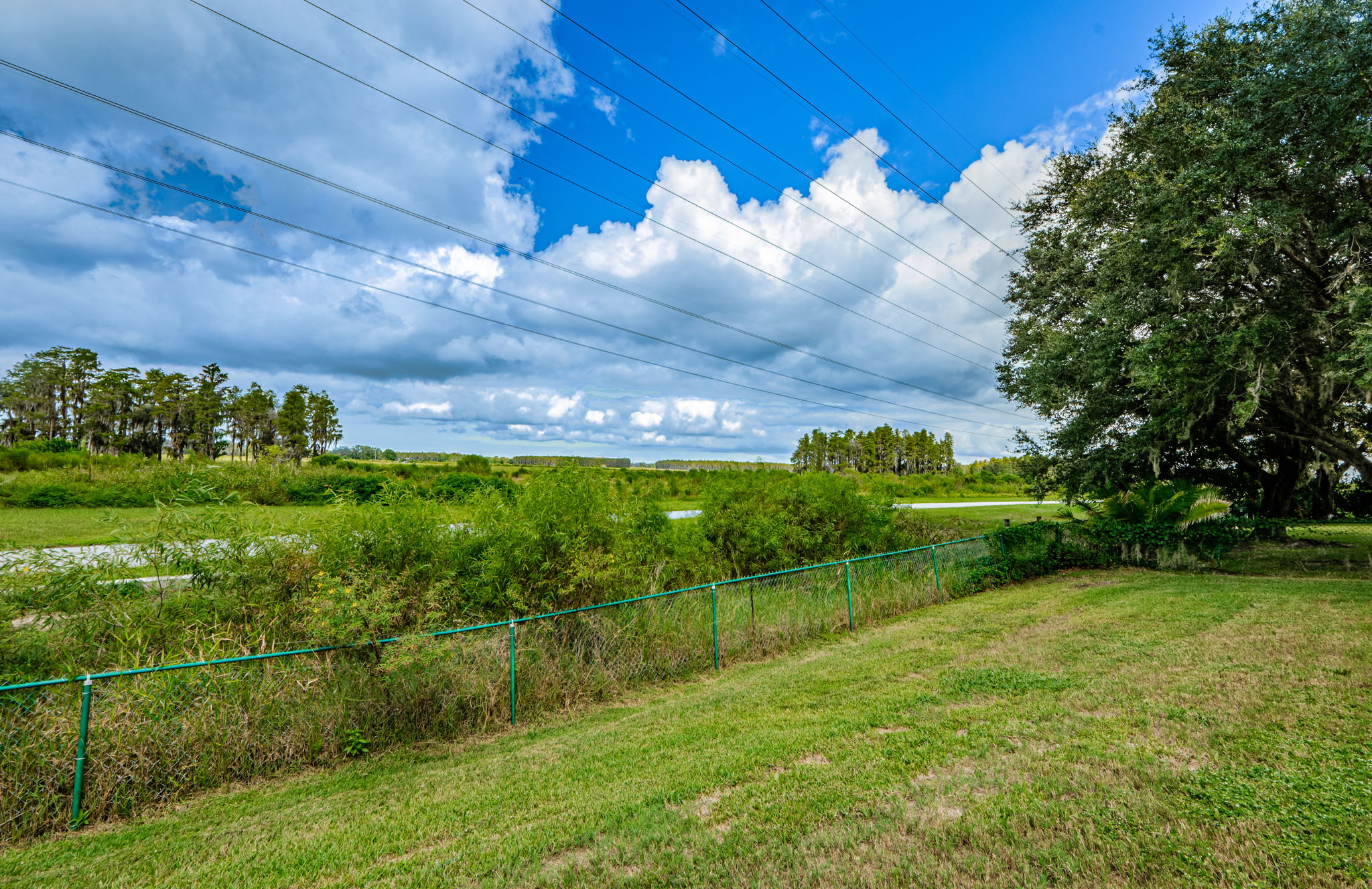 Backyard View 1