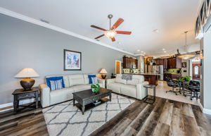 Family Room 3-2