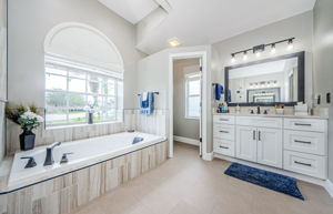 Master Bathroom 1b-2