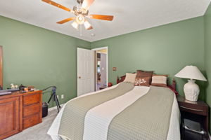  Photo 41