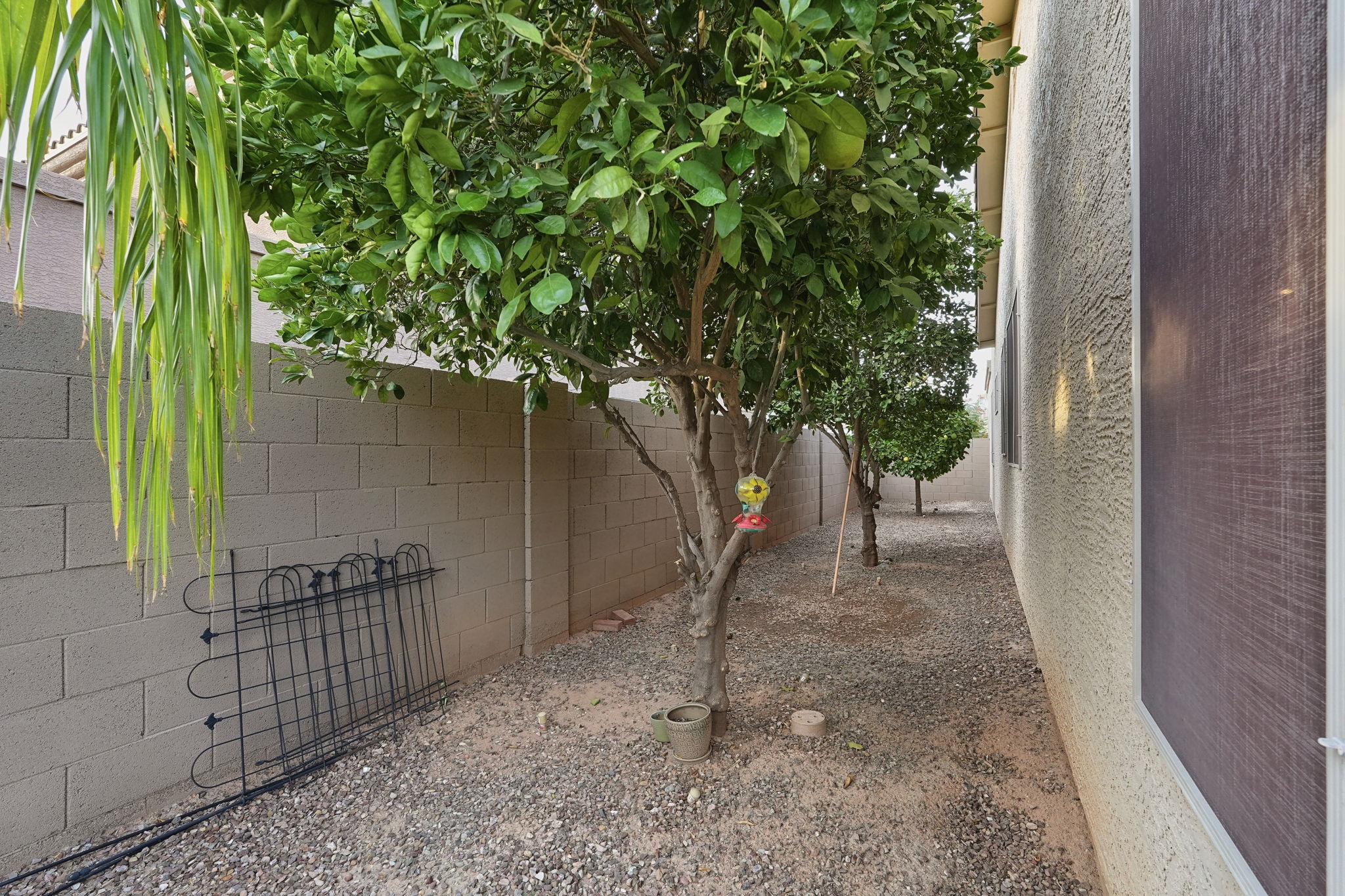  Photo 48