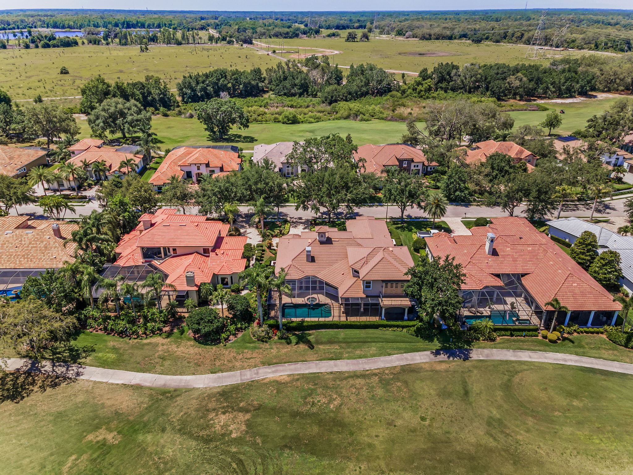 Aerial (23)