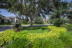 Frontyard