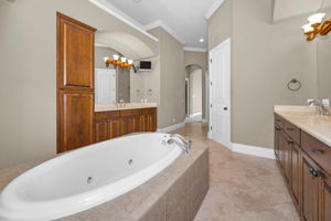 Master Bathroom1c